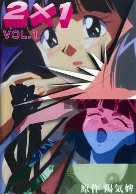 2×1