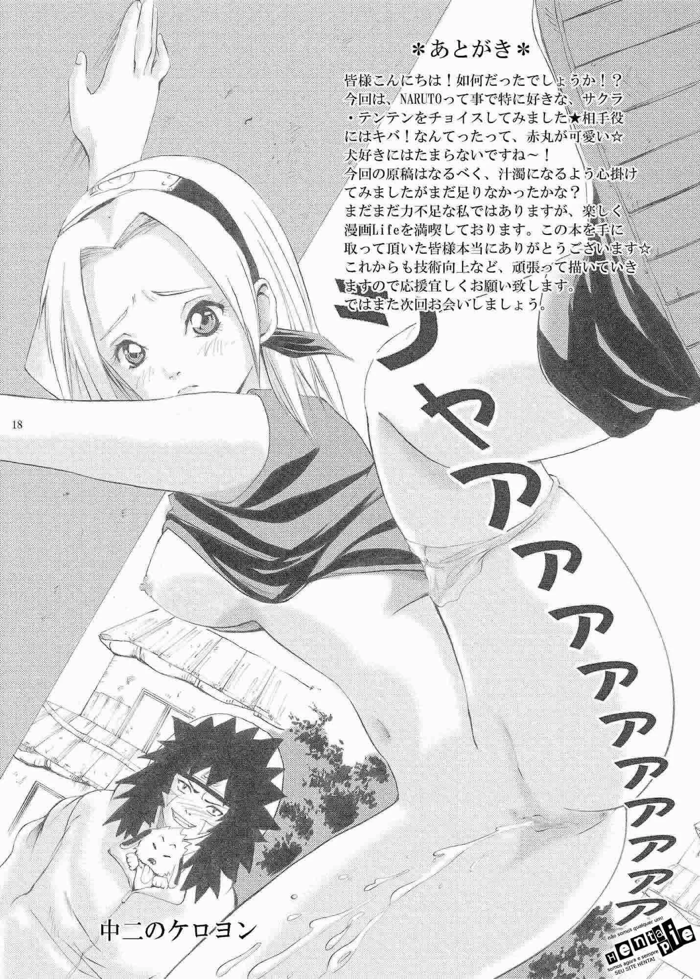 Kunoichi Hatsujouchuu!! - pagina 17