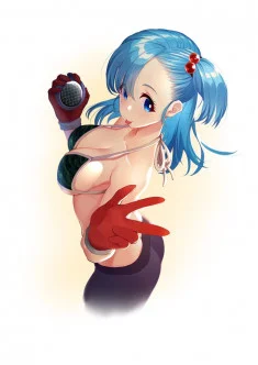 Bulma Briefs