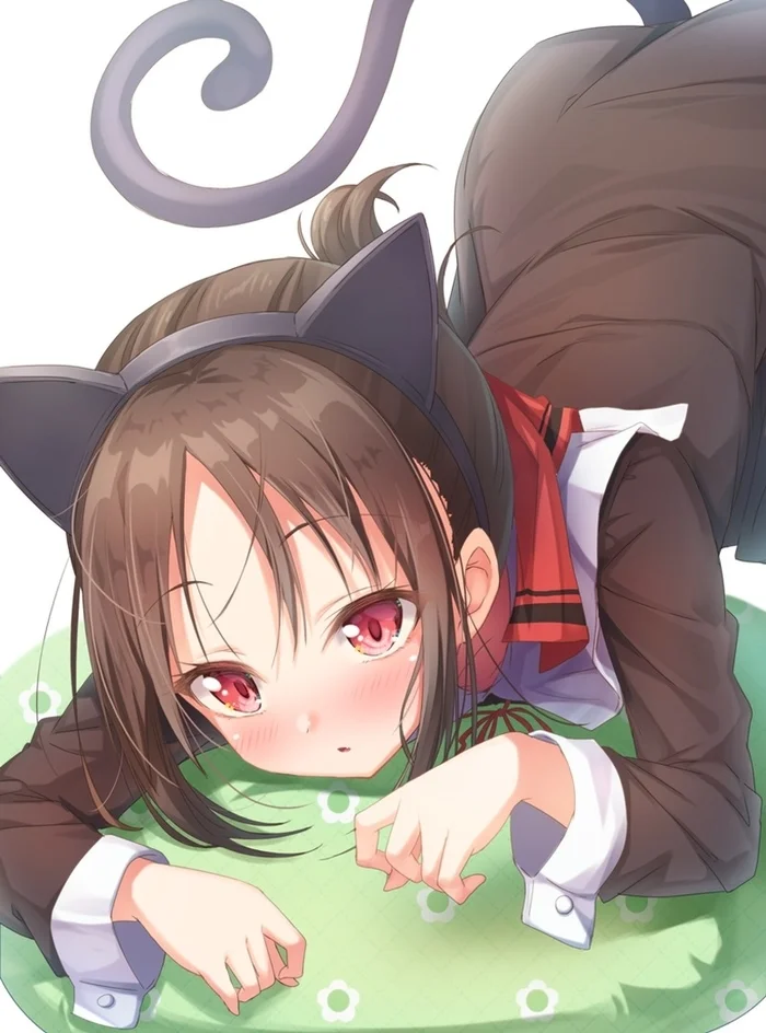 Shinomiya Kaguya Gatinha De Quatro