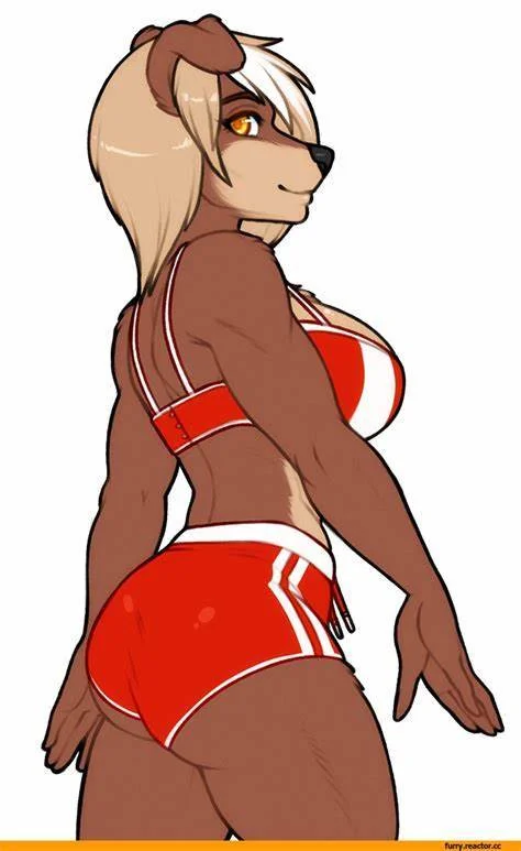 Sonho De Todo Furry